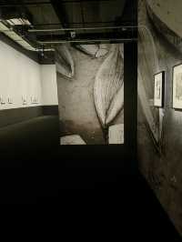 Photo SeMA: Seoul’s New Lens on Art