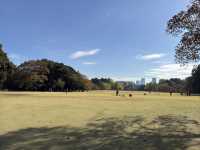 🌸 Serenity in the City: Morning Strolls & Scenic Sips at Shinjuku Gyoen 🌿