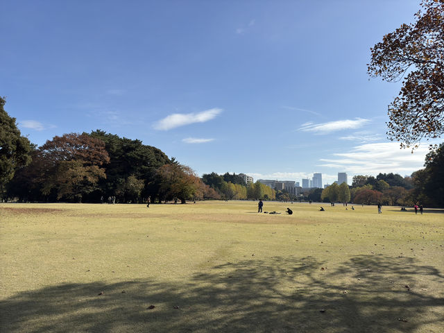 🌸 Serenity in the City: Morning Strolls & Scenic Sips at Shinjuku Gyoen 🌿