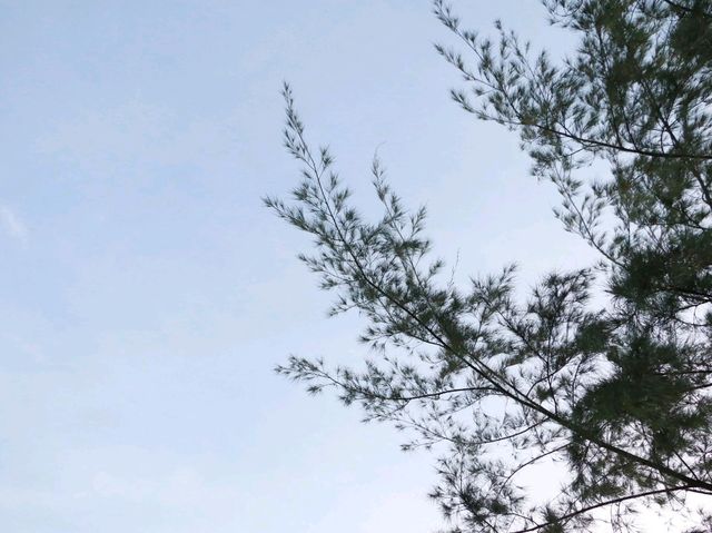 หาดแหลมเจริญ