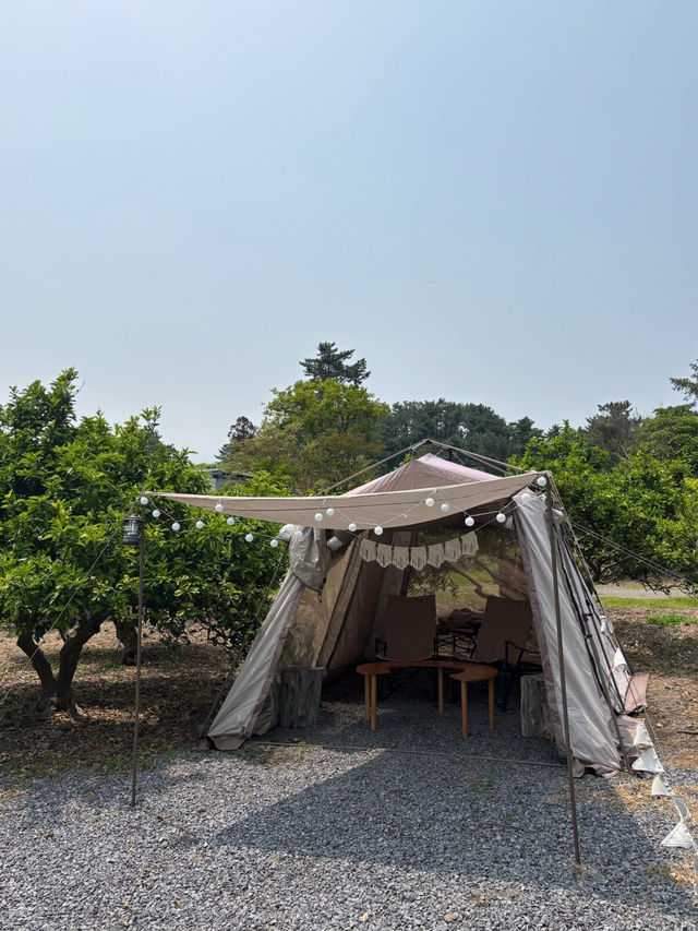 ☀️⭐️제주 애월카페 다과상점 💕