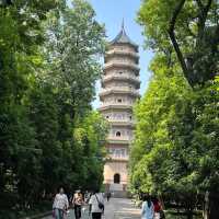 ⛰️ Nanjing Zhongshan Scenic Area – More Than Just 392 Steps 