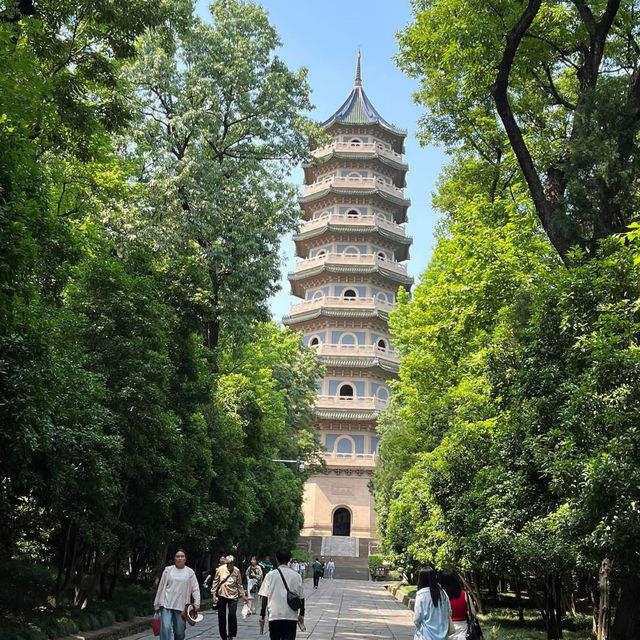 ⛰️ Nanjing Zhongshan Scenic Area – More Than Just 392 Steps 