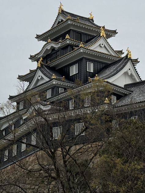 大阪交通攻略｜關西廣域周遊券