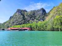 Royal Mangrove Langkawi (Kilim Geoforest Park)