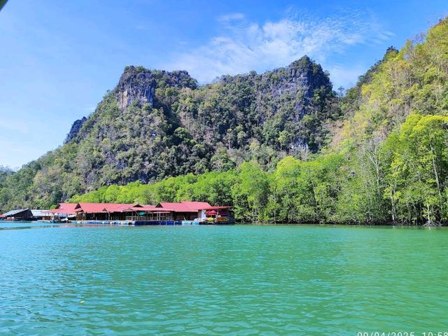 Royal Mangrove Langkawi (Kilim Geoforest Park)