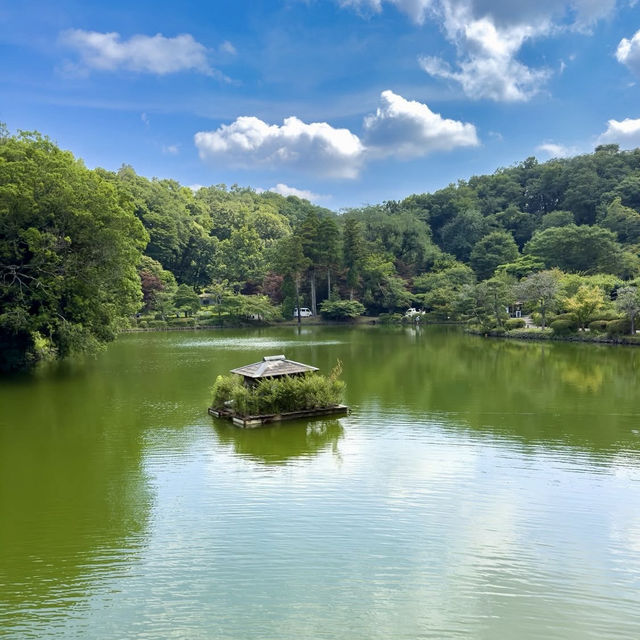 🌿🌸 Yakushi-Ike Park (薬師池公園), Machida: A Hidden Summer Oasis Near Tokyo