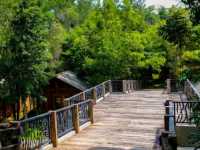 🍃✨ Philea Resort & Spa Melaka – Sleep in a Wooden Wonderland! 🏡🌿