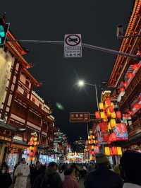 中國—走進時光的畫卷──漫遊上海豫園的古韻之美