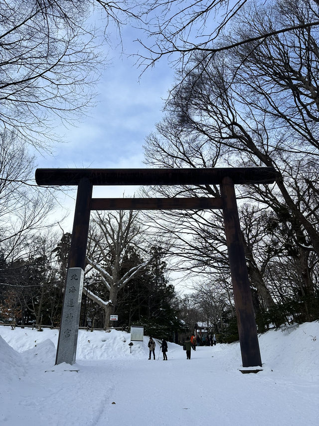 走進北國神域！北海道神宮四季皆美，冬雪中的參拜體驗絕對神聖又浪漫⛩️❄️🌸 