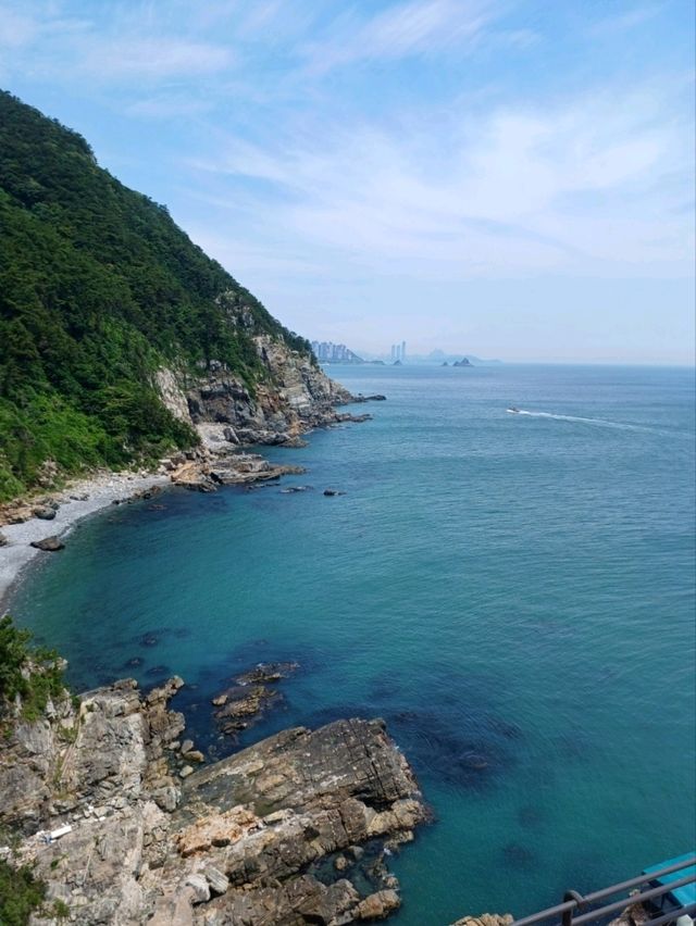 절벽과 바다가 만나는 태종대