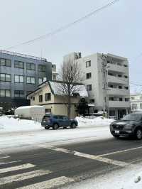 走進北國神域！北海道神宮四季皆美，冬雪中的參拜體驗絕對神聖又浪漫⛩️❄️🌸 