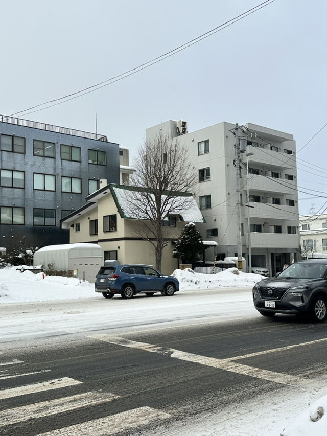 走進北國神域！北海道神宮四季皆美，冬雪中的參拜體驗絕對神聖又浪漫⛩️❄️🌸 