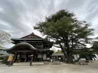 Peace & Pines at Ritsurin Garden