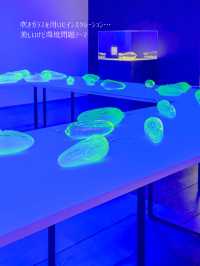 【学生無料】アーティゾン美術館　2025年展覧会