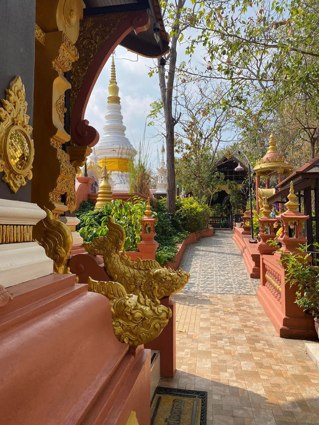 ลำปาง-เชียงใหม่ 1 day ⛰️🗯️♥️