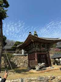 静かな時間が流れる場所、奉恩寺で心をリセット。🧘‍♀️✨