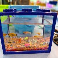 Hooked on Joy: Longkang Fishing Adventure at Nature Kindred Singapore