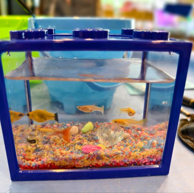 Hooked on Joy: Longkang Fishing Adventure at Nature Kindred Singapore