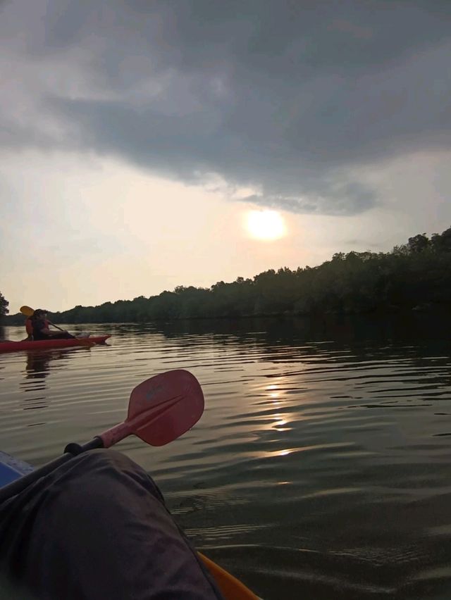 Mangrove Magic: Kayaking the Sepang River 🌿