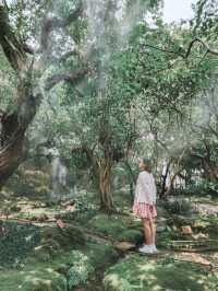 Stepping Into a Fairy Tale in Chiang Mai 🌳🧚‍♀️