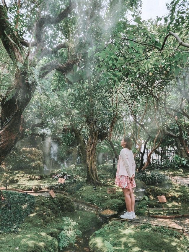 Stepping Into a Fairy Tale in Chiang Mai 🌳🧚‍♀️