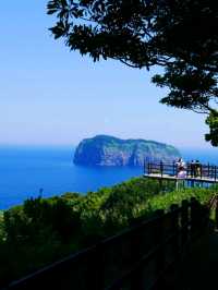 Ulleungdo, Main Character Energy