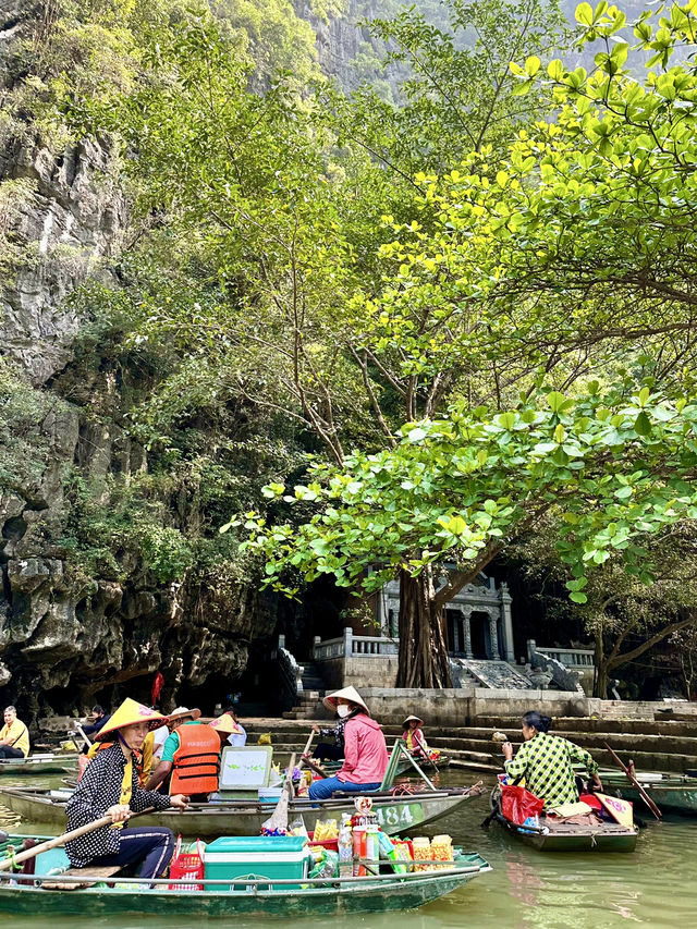 Oars, Caves, and Rice Dreams: Tam Coc Like You’ve Never Seen It