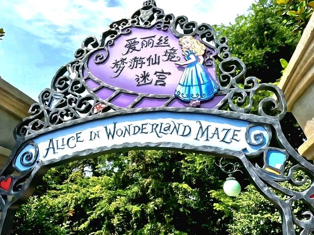 Get lost in Alice in Wonderland Maze!