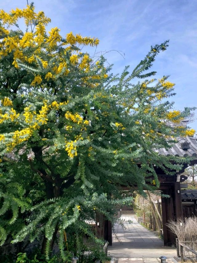【三重】九華公園