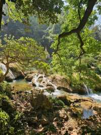 Jungle Escape and Waterfall Magic