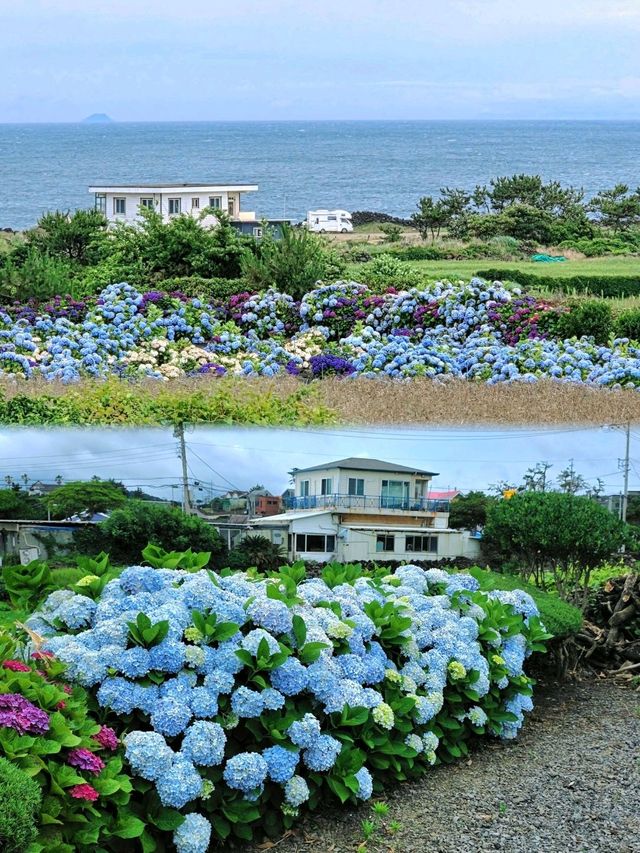 漢潭海岸 和 龍潭海邊散步🏖🌴