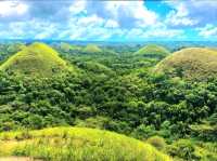 Sweet Views at Chocolate Hills