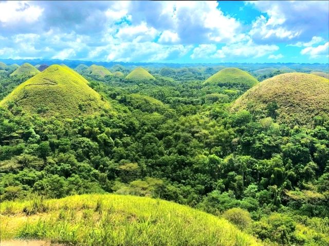 Sweet Views at Chocolate Hills