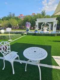 Dine and admire the blooms at WF Central Gardens Cafe