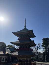 【千葉・成田市】成田山新勝寺〜関東有数のパワースポット〜