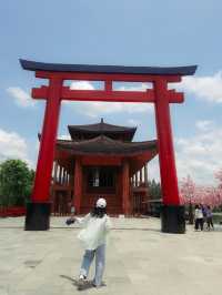 ยกญี่ปุ่นมาไว้ที่เชียงใหม่!! @Hinoki Land
