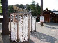 ⛩️ Serene Escape at Hokkaido Jingu