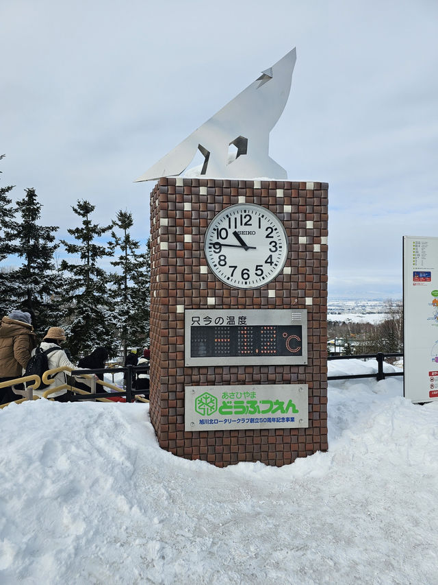 🐧 Rushing for Penguins at Asahiyama Zoo, Hokkaido 🐾