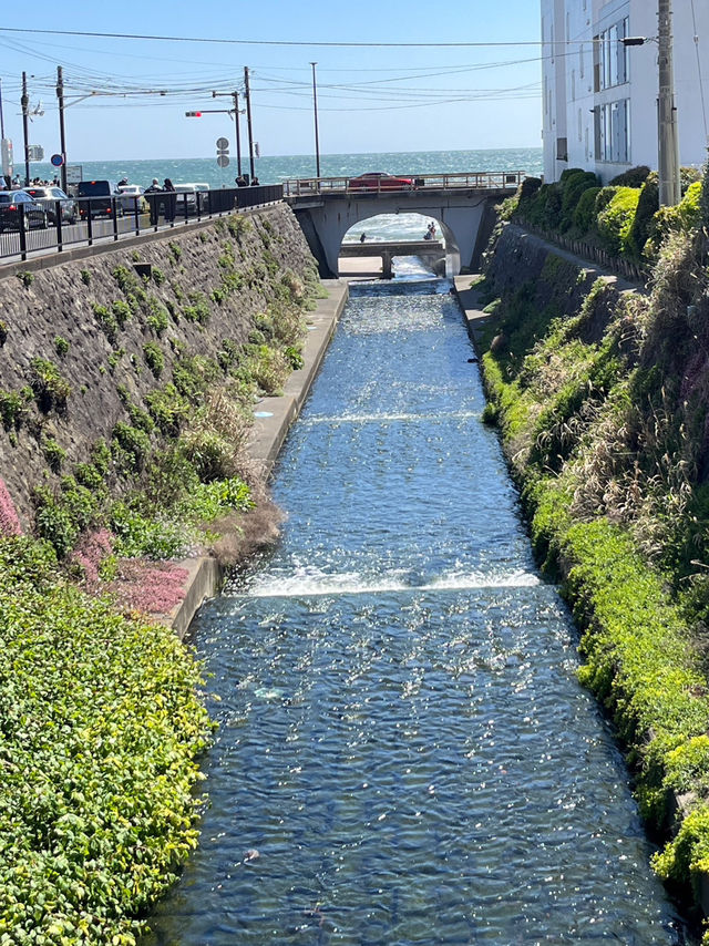 🌿 A Day by the Kamo River: Kyoto’s Calm in Motion 🏞️⛅