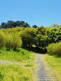 A Peaceful Local Green Space for Relaxation
