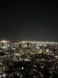 🌆 Tokyo in 3 Iconic Stops: Skyline, Loyalty & Organized Chaos 🐶✨