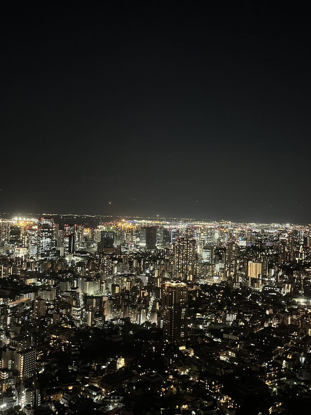 🌆 Tokyo in 3 Iconic Stops: Skyline, Loyalty & Organized Chaos 🐶✨