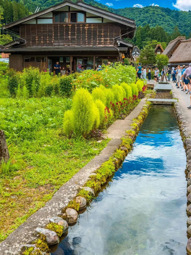 北陸🇯🇵 用輕鬆心情看世界 🌎