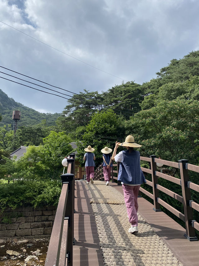 법주사에서 시원하게 여름휴양하기