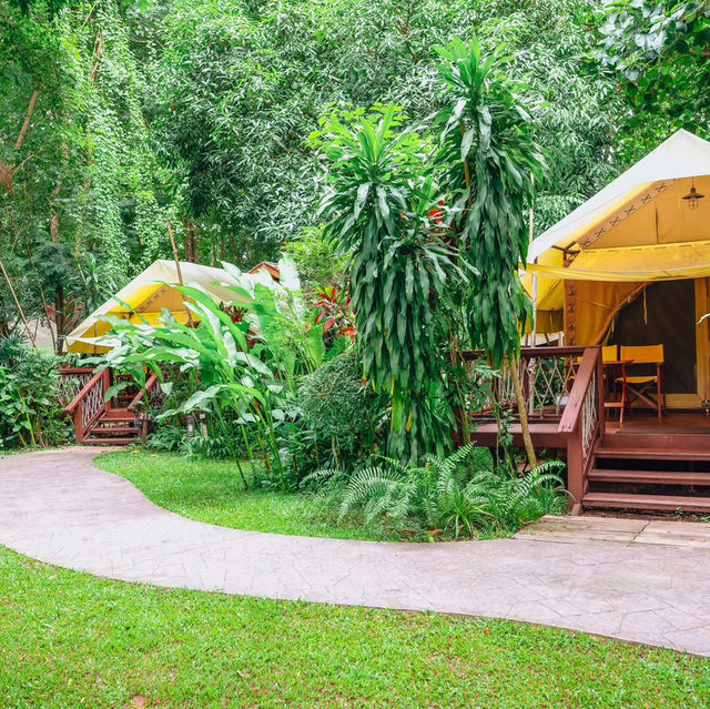 Hintok River Camp กาญจนบุรี 