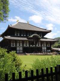 奈良で心を整える。大仏様に会いに東大寺へ。
