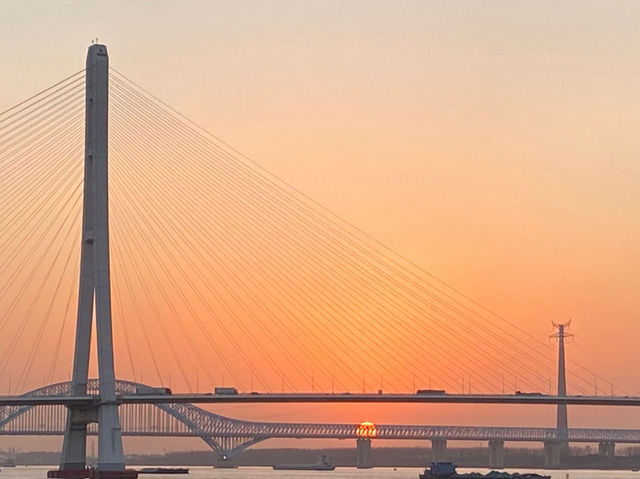 南京魚嘴濕地公園