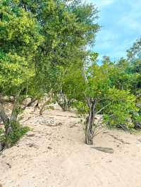 Island Calm and Mangrove Charm: Alibijaban, Quezon