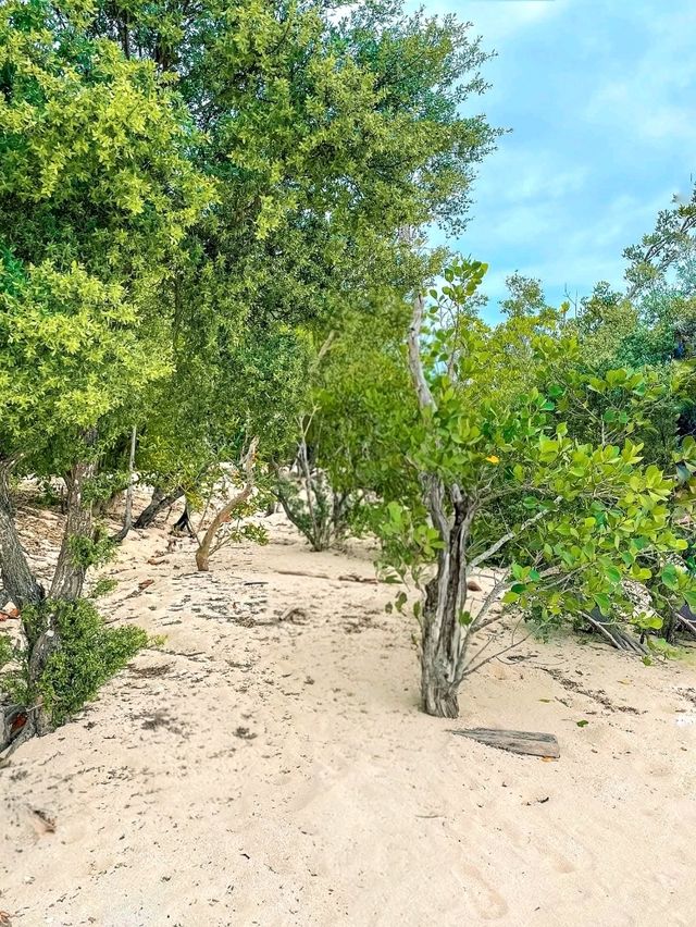 Island Calm and Mangrove Charm: Alibijaban, Quezon